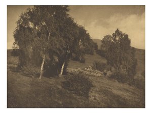 Landscape, The Tyrol by Alfred Stieglitz