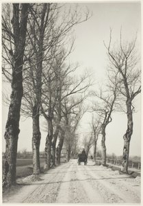 November Days by Alfred Stieglitz