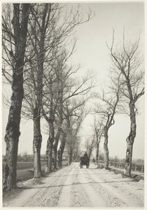 November Days by Alfred Stieglitz