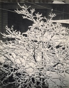 Out of Window - 291 - N.Y. by Alfred Stieglitz