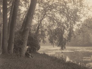 Sketching in the Bois by Alfred Stieglitz