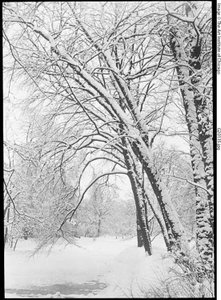Snowscape, Berlin