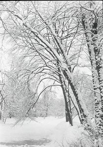 Snowscape, Berlin