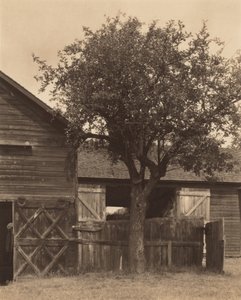 The Barn by Alfred Stieglitz