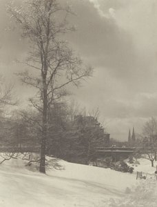 Winter (Central Park) by Alfred Stieglitz