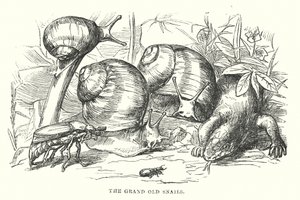 Hans Christian Andersen: The Happy Family