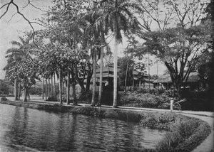 Kandy - A Picturesque Corner of the Lake, c. 1890