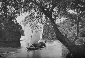 Padda Boat in Full Sail by Alfred William Amandus Plate