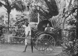 Tamil Lady in Rickshaw