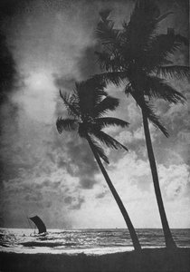 The Palm Fringed Shore at Sunset, c1890, 1910