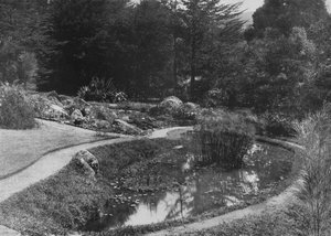 The Rock Garden, Hakgalla Gardens, Nuwara Eliya