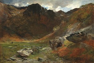 A Marshy Glen from Nature