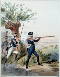 Napoleonic Army: Imperial Guard. Engraving by Alfred De Marbot (19th century) 1809. Malmaison, Musee Du Chateau.