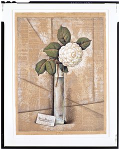 Gardenia in Glass, c.1936