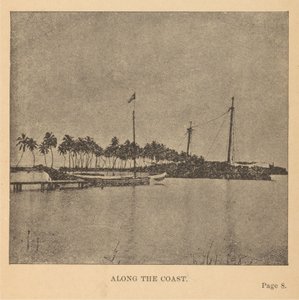 Along the Coast by Alice Dixon Le Plongeon