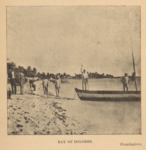 Bay of Dolores by Alice Dixon Le Plongeon