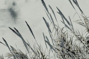 Harvest, 2017 by Alice Gur-Arie