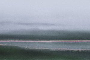 Verdant, from the series Conyer Reach by Alice Gur-Arie