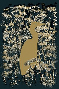 Royal Egret, 2015