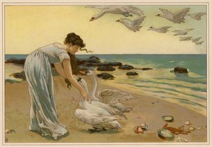 The White Swans by Alice Havers