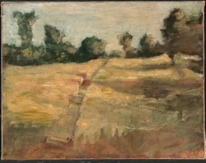 The Field