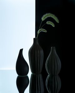 Elegant Vases with Grass by Alice Sheng
