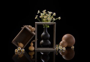 Natural Gourd Still Life by Alice Sheng