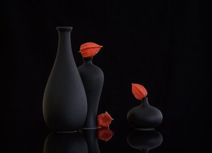 Orange Physalis Still Life by Alice Sheng