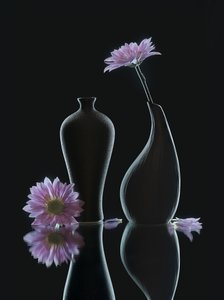Serene Floral Reflections by Alice Sheng