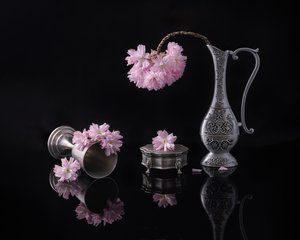 Silver And Sakura by Alice Sheng