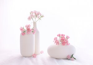Still Life 114 by Alice Sheng