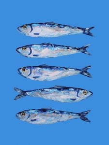 Five Blue Sardines by Alice Straker