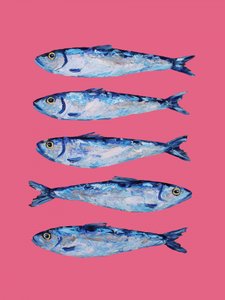 Vibrant Sardines on Pink by Alice Straker