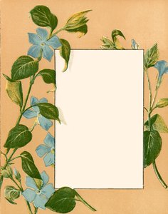 February by Alicia Amy Leith