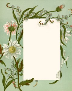 July by Alicia Amy Leith