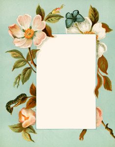 June by Alicia Amy Leith