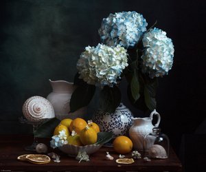 Blue Hydrangeas and Lemons by Alina Lankina