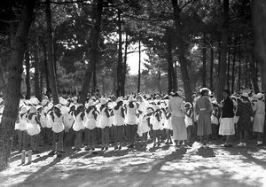 Villa Rosa Maltoni Mussolini: female students gathered in the pine grove