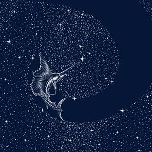 Celestial Sailfish by Alirıza ÇAKIR