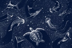 Cosmic Ocean Animals by Alirıza ÇAKIR