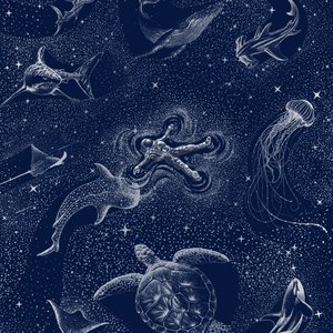 Cosmic Ocean Voyage by Alirıza ÇAKIR