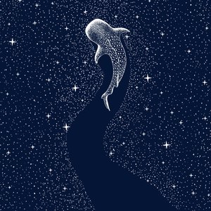 Starry Whale Shark by Alirıza ÇAKIR