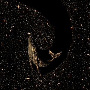 Whale Among Stars by Alirıza ÇAKIR