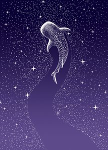 Whale Shark Galaxy Swim by Alirıza ÇAKIR