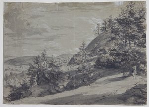 Hilly Landscape