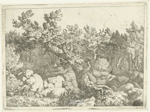 Landscape with Hunter by Large Tree by Allaert van Everdingen