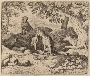 The Badger Goes to Warn Reynard