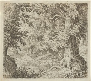 The Brook in the Wood, 17th Century by Allart van Everdingen