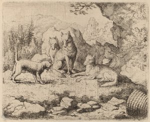 The Cat Sent as Messenger