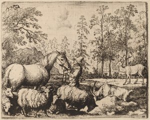 The Horse and the Stag by Allart van Everdingen